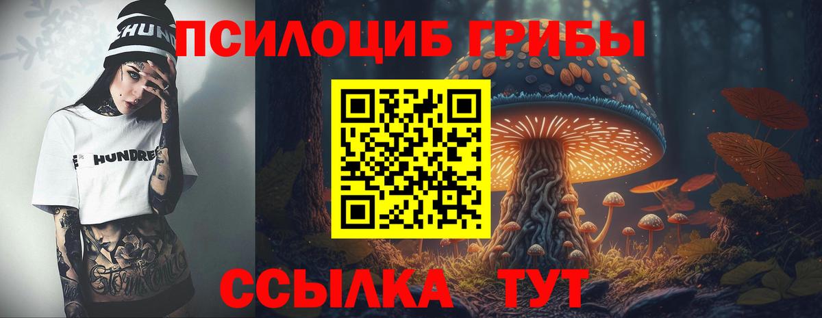 Псилоцибиновые грибы Psilocybe  что такое наркотик  Кудымкар  Вход с VPN 