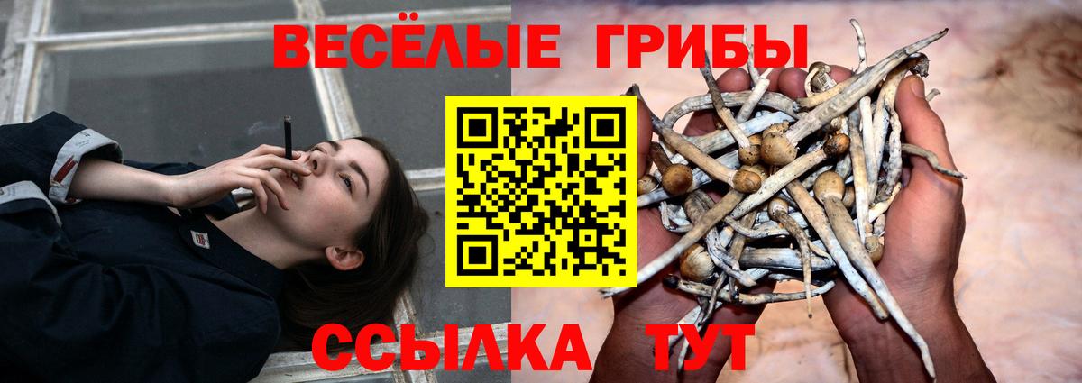 Галлюциногенные грибы Magic Shrooms Кудымкар